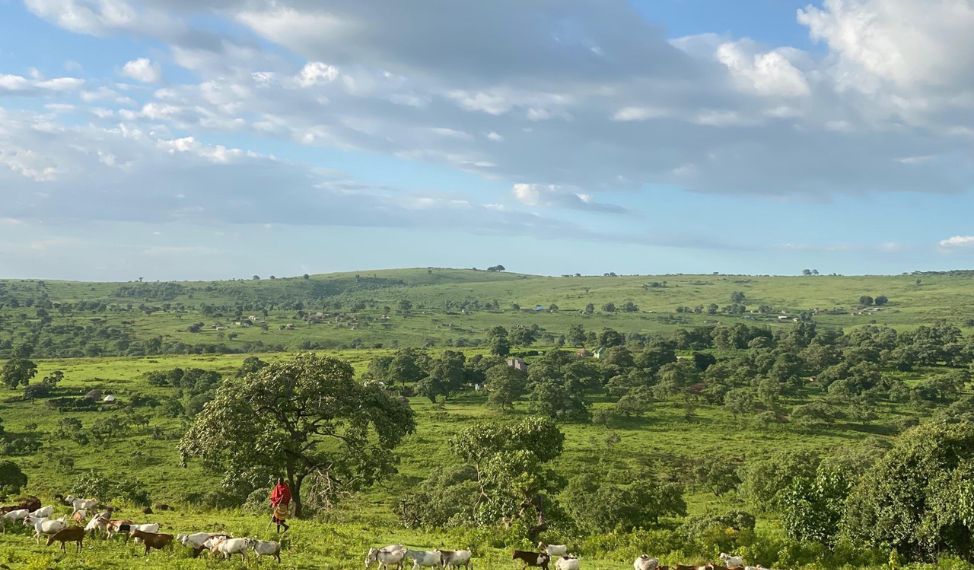 Ngorongoro in Tansania, ein Teil des angestammten Landes der Maasai. © MISA