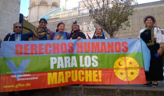 Die Regionalgruppe Köln demonstriert für die Rechte der Mapuche.