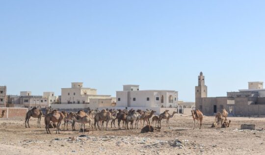 Tiwilit Nouakchott
