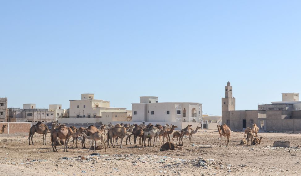 Tiwilit Nouakchott