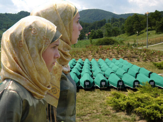 The Federal Government urged to declare 11 July a day of commemoration for Srebrenica – human rights activists and action artists recall the political failure of 1995
