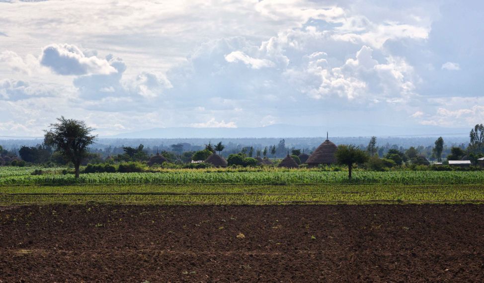Oromia, die Heimat der Oromo rings um die Hauptstadt Addis Abeba. © Rod Waddington / Flickr CC BY-SA 2.0
