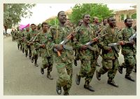 Wachsende Kriegsgefahr im Sudan – Weltsicherheitsrat muss handeln!