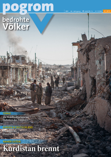 291 Naher Osten: Kurdistan brennt