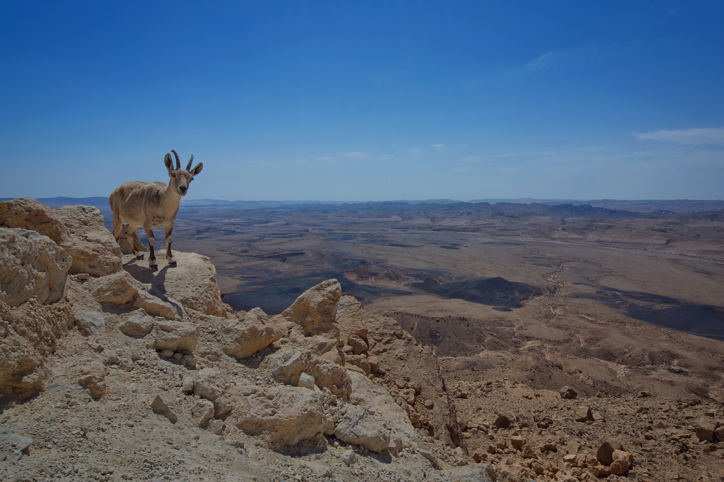 https://www.flickr.com/photos/visitisrael/7717198590