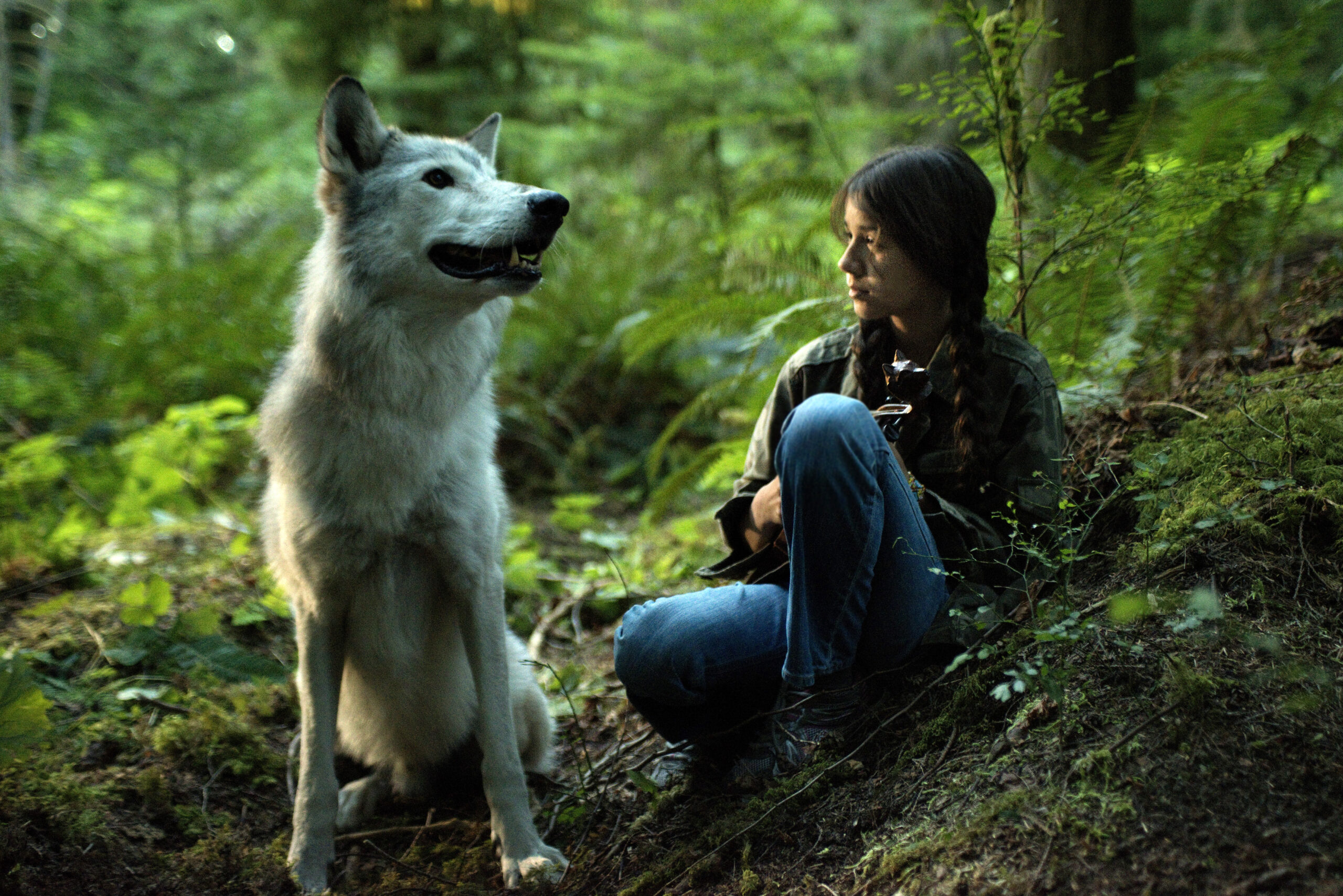 www.shanafilm.com