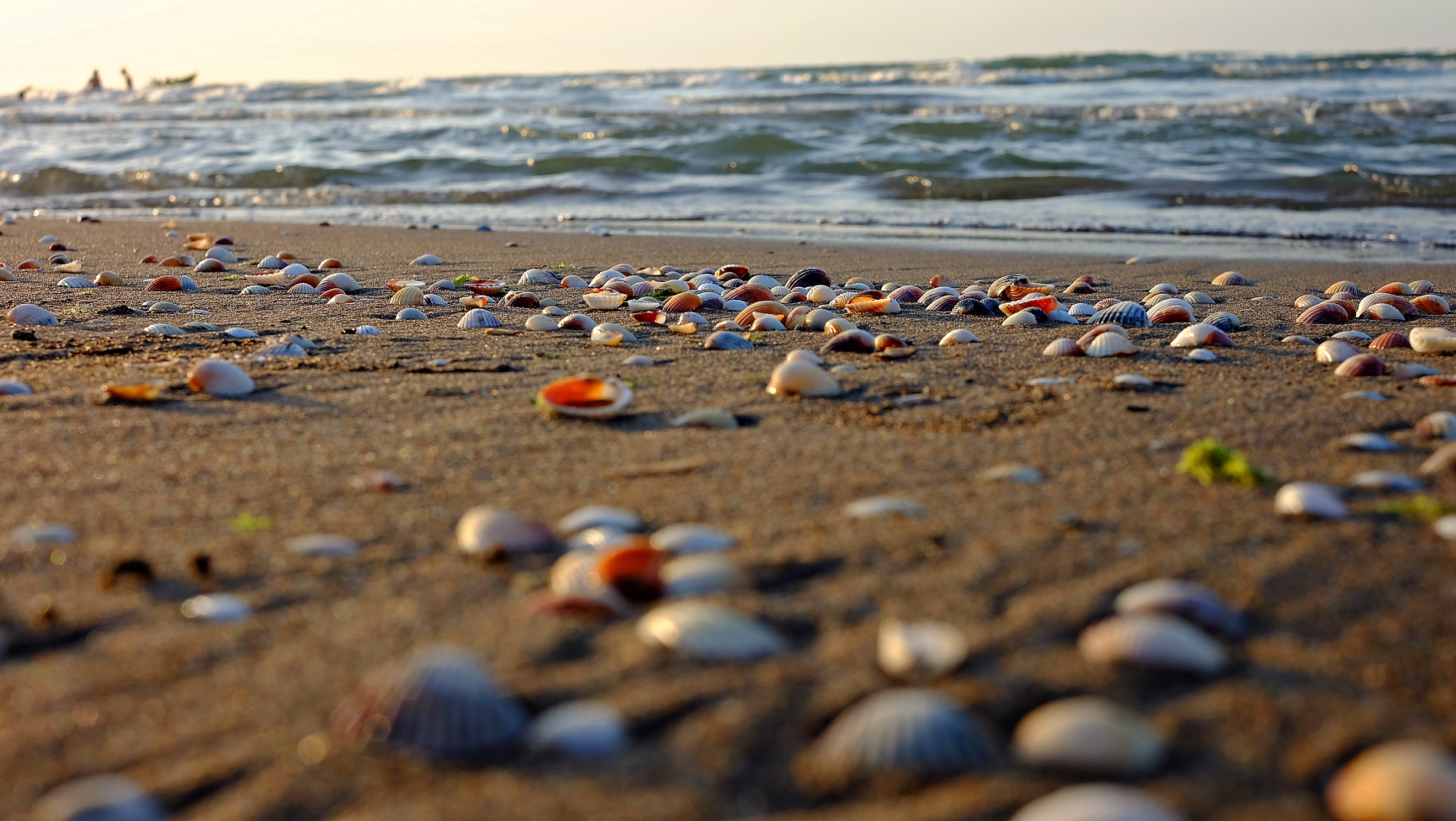 https://www.flickr.com/photos/daniyal62/22429533127/