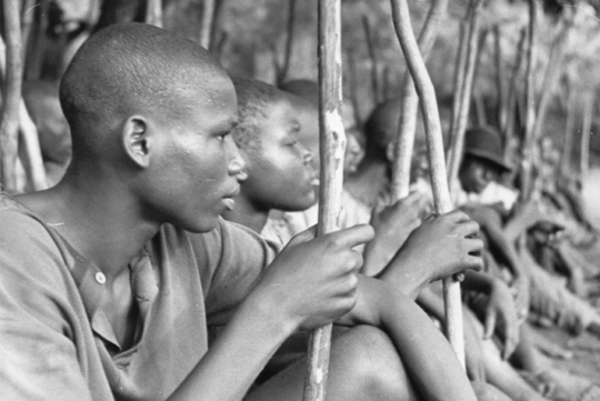 Nie wieder Biafra