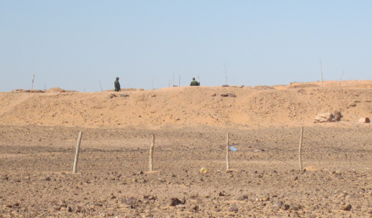 Westsahara-Konflikt: Die Mauer, die fast niemand kennt