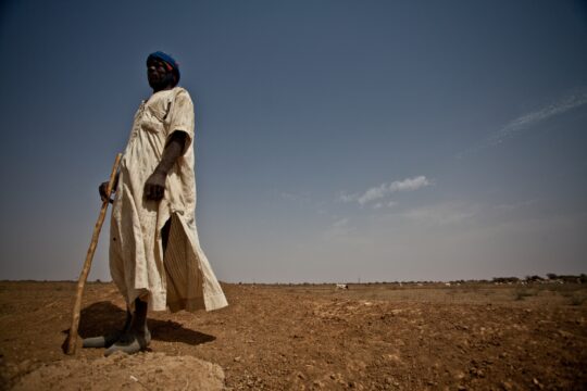International Day for the Abolition of Slavery