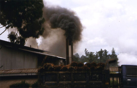 Biomass fuels destroy rain forests and threaten native peoples