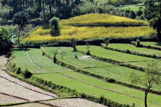 Burma: Neues Gesetz zu Landrechten gefährdet Friedensprozess