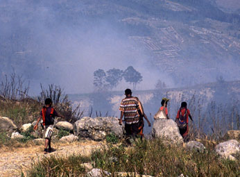 Bioenergy boom brings millions of native peoples in serious difficulties