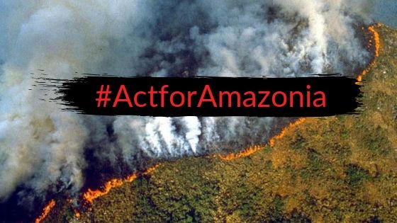 Amazonas in Flammen