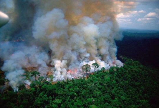 Feuer im Amazonas: „Neokolonialismus“