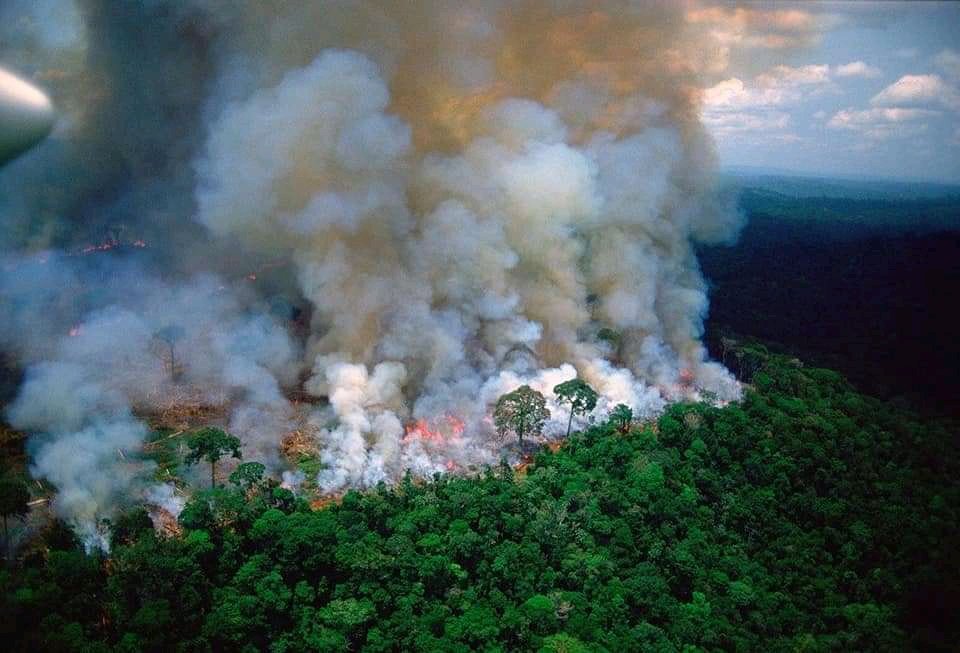 Feuer im Amazonas: „Neokolonialismus“