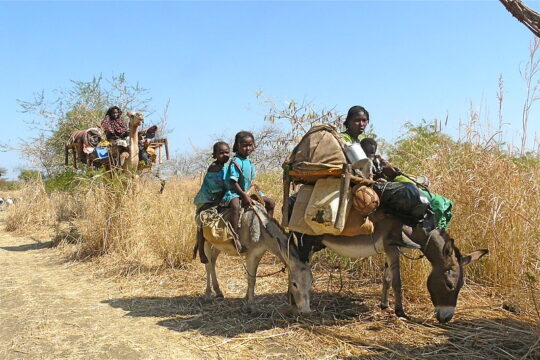 Massaker mit 43 Toten in Burkina Faso