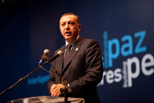 Kein Blankoscheck für Präsident Erdogan