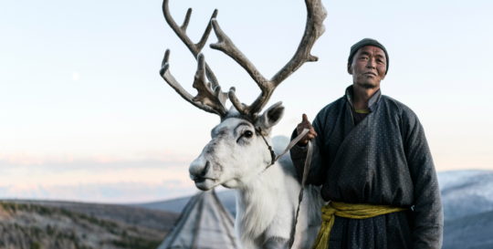 Editorial: Tiere