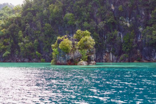 Massenverhaftungen von Papua in Indonesien