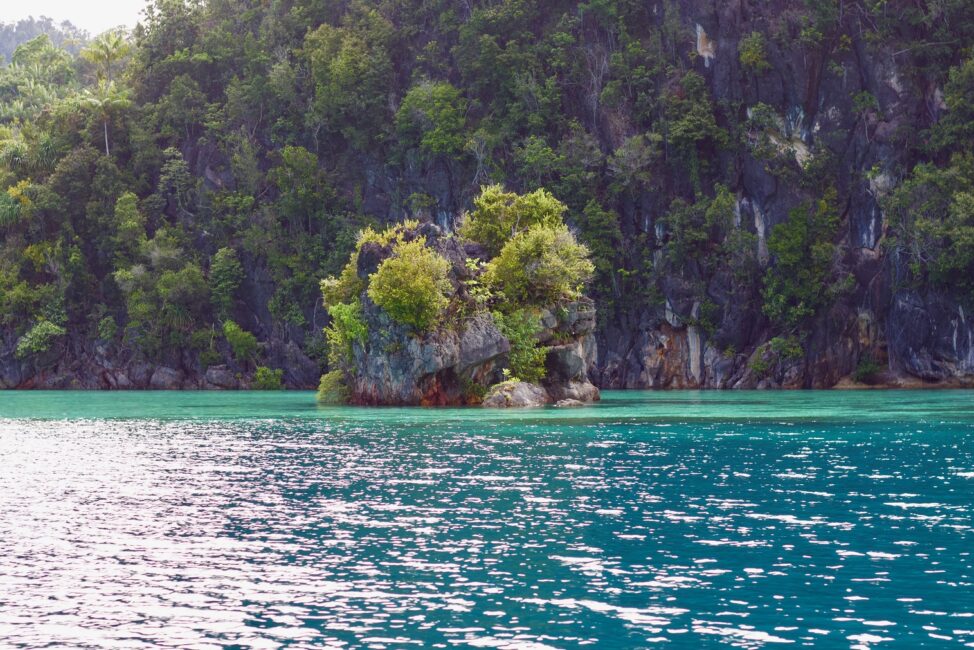 Massenverhaftungen von Papua in Indonesien