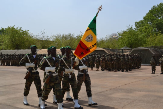Mali: EU-Ausbildungsmission muss auf den Prüfstand