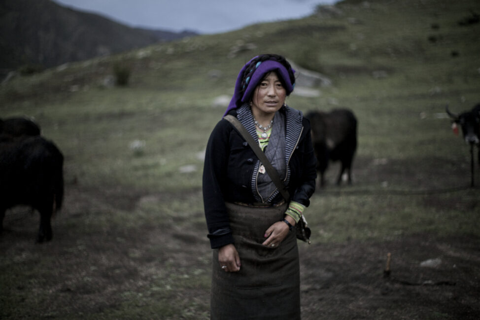 China: Fragwürdige „Entwicklung“ und Armutsbekämpfung in Tibet