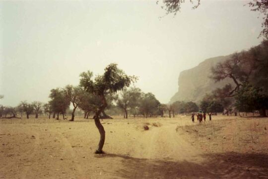 Mali: Überfälle der Dogon auf Peulh-Nomaden eskalieren