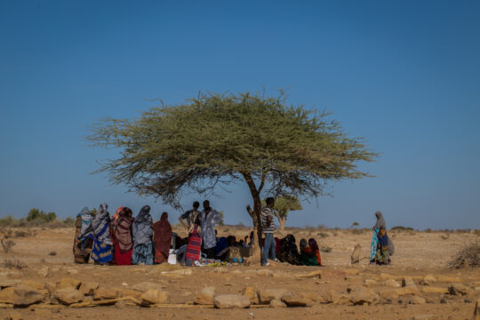 Äthiopien: Massengrab im Ogaden gefunden