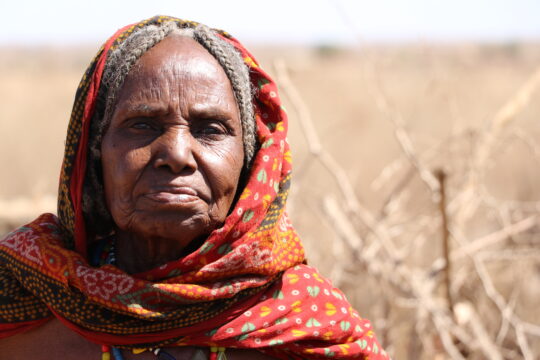 Mehr als 440 Eritreer aus dem Sudan abgeschoben